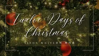 Twelve Days of Christmas with Lyrics Christmas Carol & Song