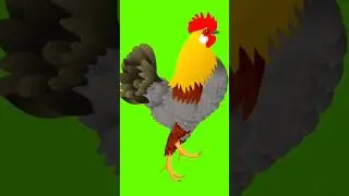 #greenscreen