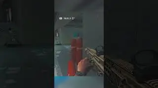 lab bush campers 