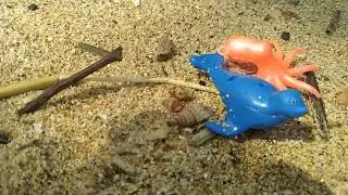 mainan ikan laut anak