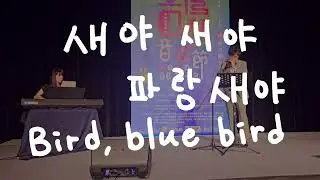새야 새야 파랑새야  Bird, blue bird | Harry Choi X Yora Chen @THMF #concert #harmonica #jongseong
