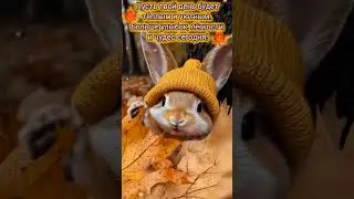 Доброе утро,хорошего дня открытки на каждый день 