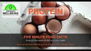 Five Minute Food Facts - PROTEIN OVERVIEW