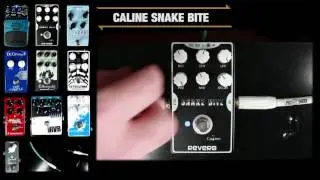 10 Reverb Pedal Shootout | GEAR GODS