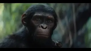Kingdom Of The Planet Of The Apes (Trailer Reaction)