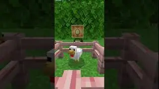 Minecraft: Chicken or Egg?!?! #shorts #minecraft #minecraftmemes