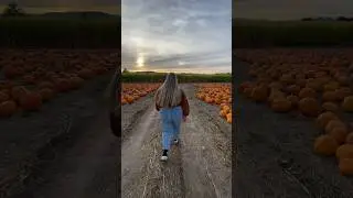Pumpkin patch is my happy place #pumpkinpatch #cornmaze #loganandmikayla #datenight #utah #couples
