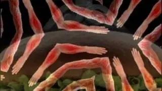 :wumpscut: - Funeral Diner