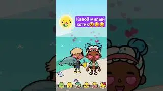 Какой милый котик!!😍😍😍 