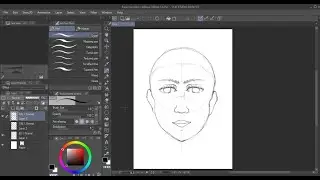 How to draw: Face | Basic Proportions | Clip Studio Paint | Hamabe Arts