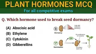 Plant Hormones MCQ 2024 | Plant Physiology MCQ | Biology MCQ for All  Competitive Exams