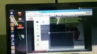 Ejecutar 50 programas python - Terminal Linux