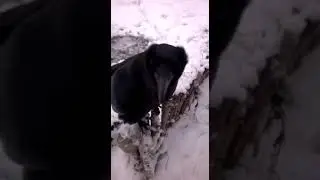 Вася хочет кушать