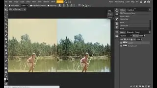 Correcting Tone and Color Using Levels in Photopea