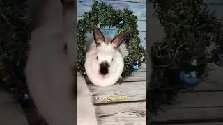 последний рабочий день в этом году 🎉 