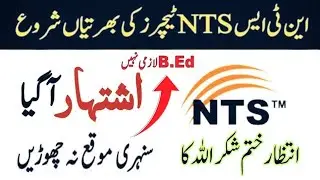 NTS Teachers Jobs | B.Ed not Compulsory | Age 28-44 | Online Apply..!! | FFES Jobs 2024