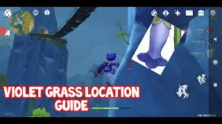 Violet Grass Locations Guide Genshin Impact