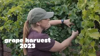 Harvest 2023 is in the books!