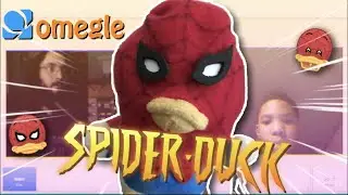 Omegle, A Chat with the Spider-Duck