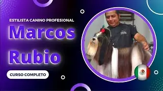 Curso completo | Estilista Canino
