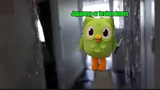 Delete Duolingo?