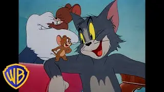 Tom y Jerry en Latino | De ser enemigos a ser amigos ❤️ | @WBKidsLatino
