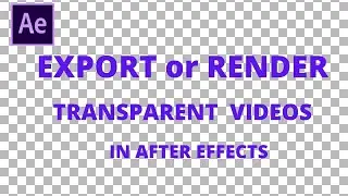 How To Export Transparent Video In After Effects CS6 | Zimi Studio Official