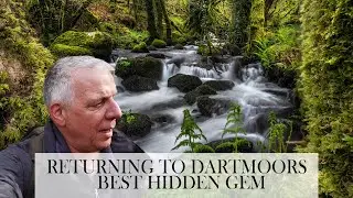 Photographing the Enchanting Beauty of Dartmoor: Waterfalls, Mossy Rocks & Ancient Trees