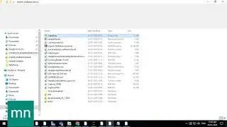 Currency insert automation -Tally python[complete project] 