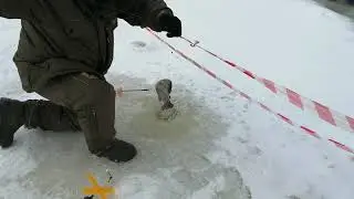 Светлые Горы Форель 3 20.12.2021г.