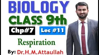 Respiration | Bioenergetics | Chapter 7 | 9th class Biology | Lec 11
