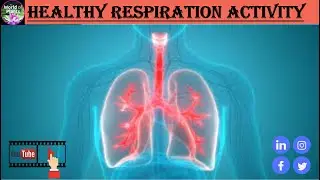 Healthy Respiration Activity || Performance of Lungs || Breathing Process || Lungs Anatomy #shorts