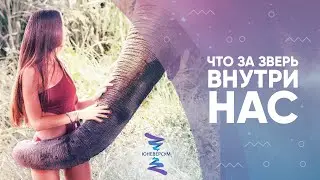 О животной природе в человеке. ЮНЕВЕРСУМ. Проект Вячеслава Юнева