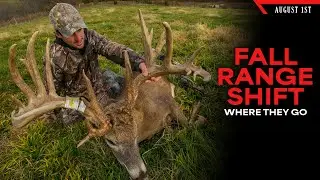 Super Visible Summer Bucks and the Fall Range Shift | Bowhunting Whitetails w/ Bill Winke