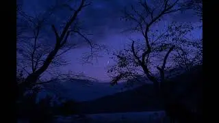 Missing Something | A Playlist