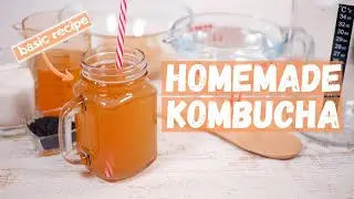 How to Make Kombucha  | Basic Recipe | Чайный гриб - рецепт