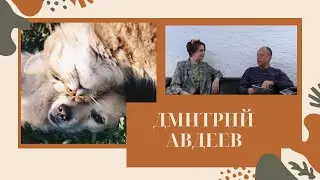 СОТНИ САРОВЧАН ПОКУСАНЫ!? СТЕРИЛИЗАЦИЯ- ВРЕДНО?! ПРОБЛЕМА НЕ РЕШАЕТСЯ?! ДМИТРИЙ АВДЕЕВ