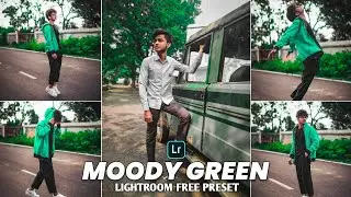 Moody Green Presets - Lightroom Mobile Presets Free DNG | Moody Dark Green Presets | Free Preset |