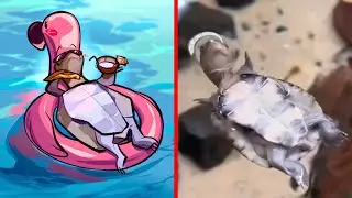 Turtle likes to swim backstraw | Funny Animal Memes