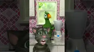 Пьер vs Том
