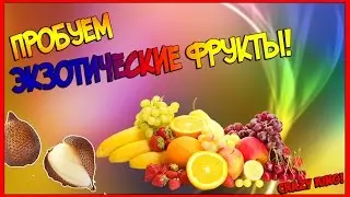 ЭКЗОТИЧЕСКИЕ ФРУКТЫ НА ВКУС....4.000 ПОДПИСЧИКОВ? Я ВЕРНУЛСЯ? МАМИКС ПЛАГИАТ?