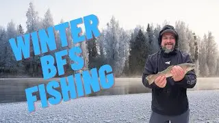 Winter BFS Fishing!!! (Bait Finesse Systems)