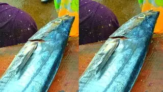 Giant Seer Fish Slice Cutting | Amazing Slice Cutting | CT 360*🔪
