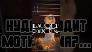 О мотивации