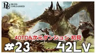 【Bless Unleashed】40TDと次元ダンジョン行く