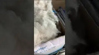 দেশের সবথেকে বড়ো খবর ||তাজা খবর||উত্তাল রাজ্য রাজনীতি