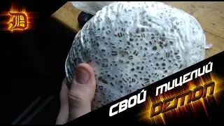 Мицелия собственного производства. Вот такие Грибы Получились