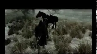 Skyrim web vid