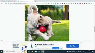 Prompt To HD Image Generator For Free! Unlimited Ai Images For Free!