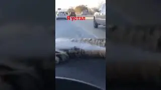 20 сентября 2022 г.